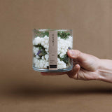 JUNIPER & LIMONIUM WAX MELTS IN GLASS VOTIVE