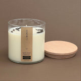 CLOVES & ORANGE CANDLE IN GLASS VOTIVE WITH 2 WICKS