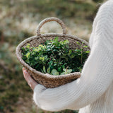 FOREST BERRIES DIFFUSER